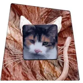 Cat Photo Frame Cat by Grant-Noren