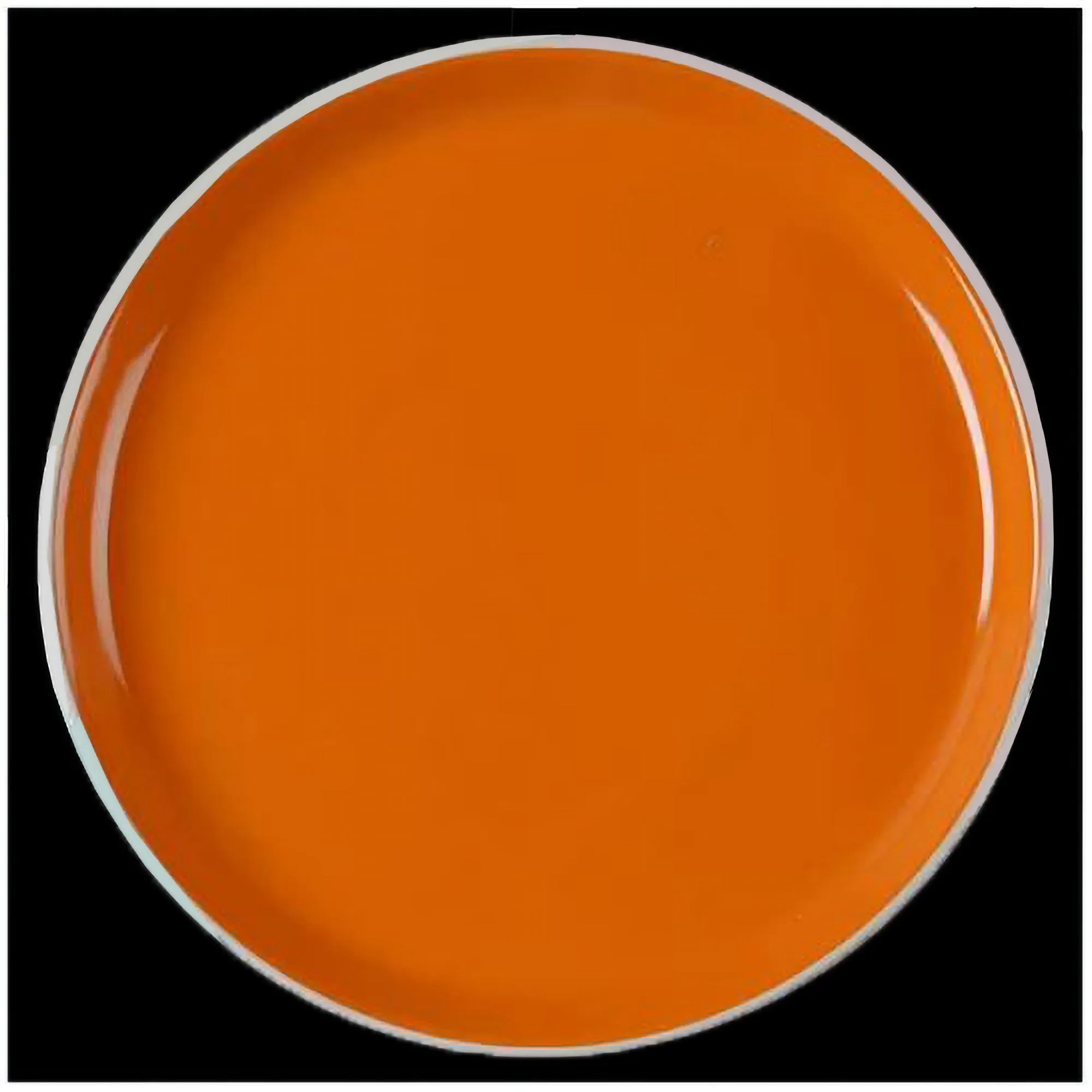 Oneida Color Burst Chili Mango Stoneware Dinner and Salad Plates